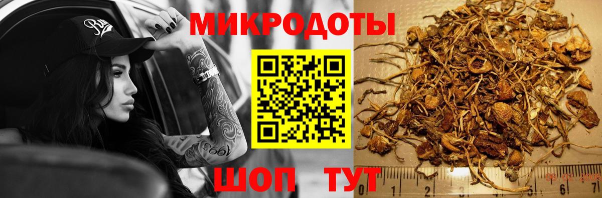 Псилоцибиновые грибы мухоморы Новотроицк